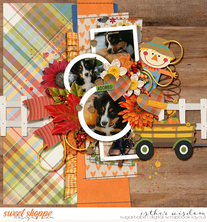 Furry Pumpkin Friend