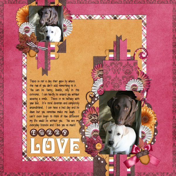 Fuzzy Love