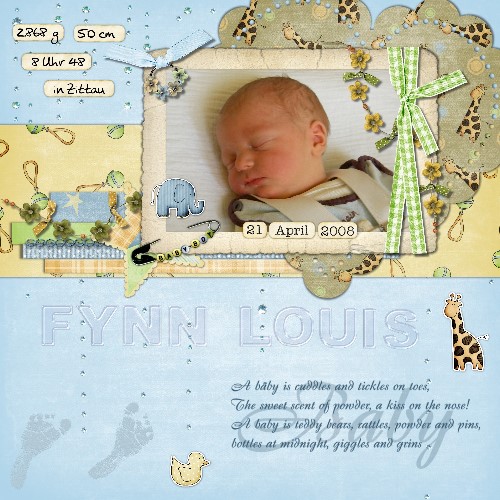 Fynn Louis