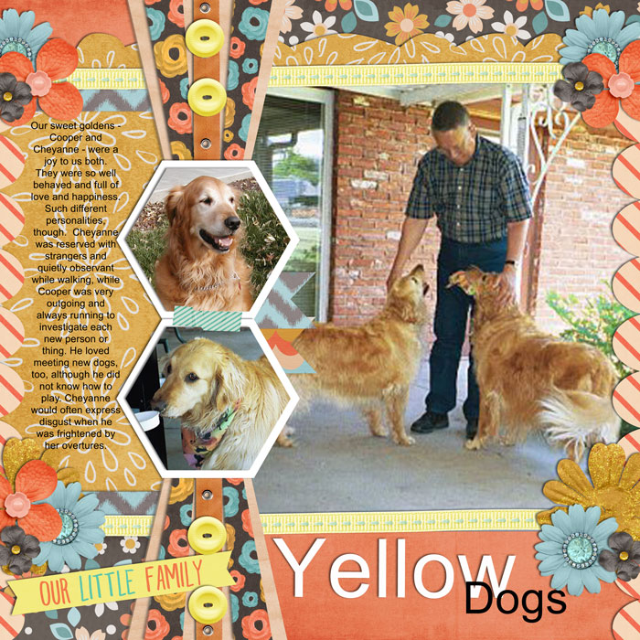 G11 - Yellow dogs