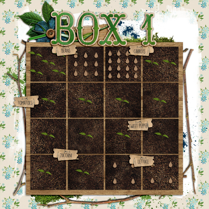 Garden boxes