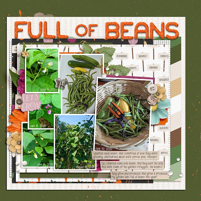 Garden Full of Beans
