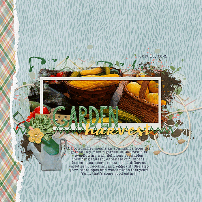 Garden Harvest