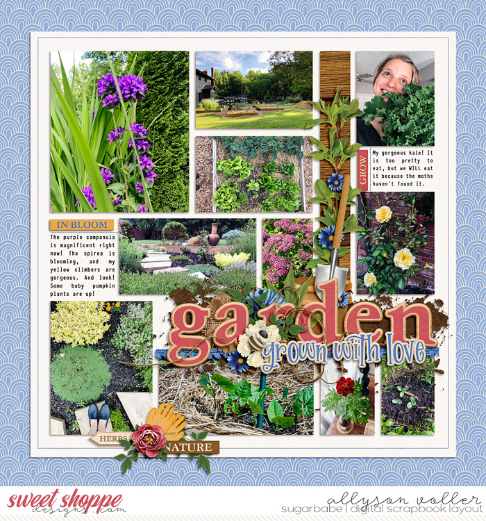 Garden journal June 15-21 02
