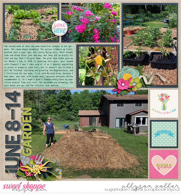 Garden News June week 2
