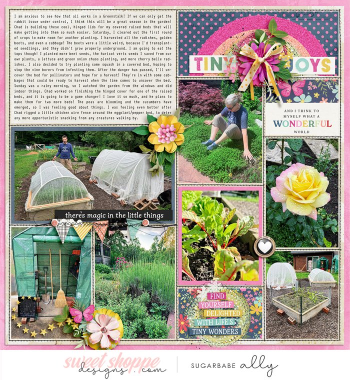 Garden notes 2024 week 22, right