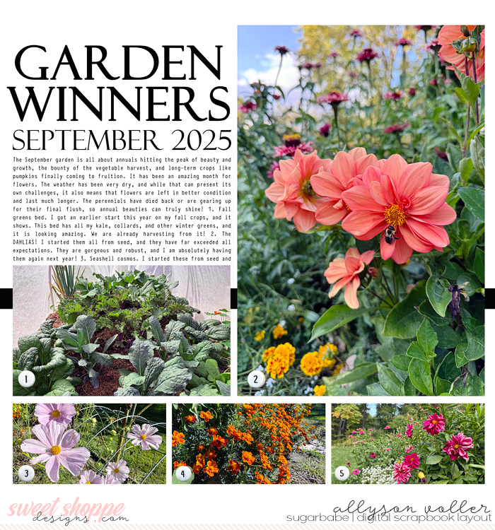 Garden Winners Sept 2025