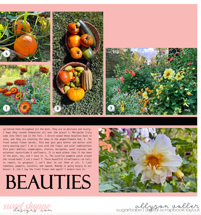 Garden Winners Sept 2025