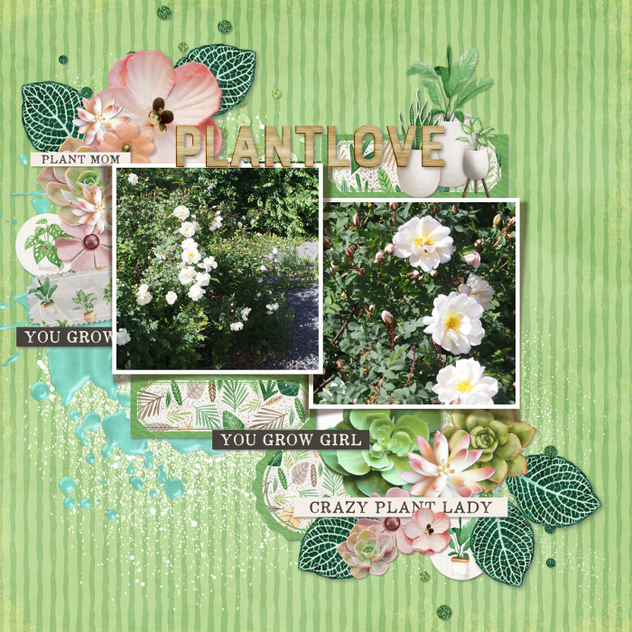 Gardening