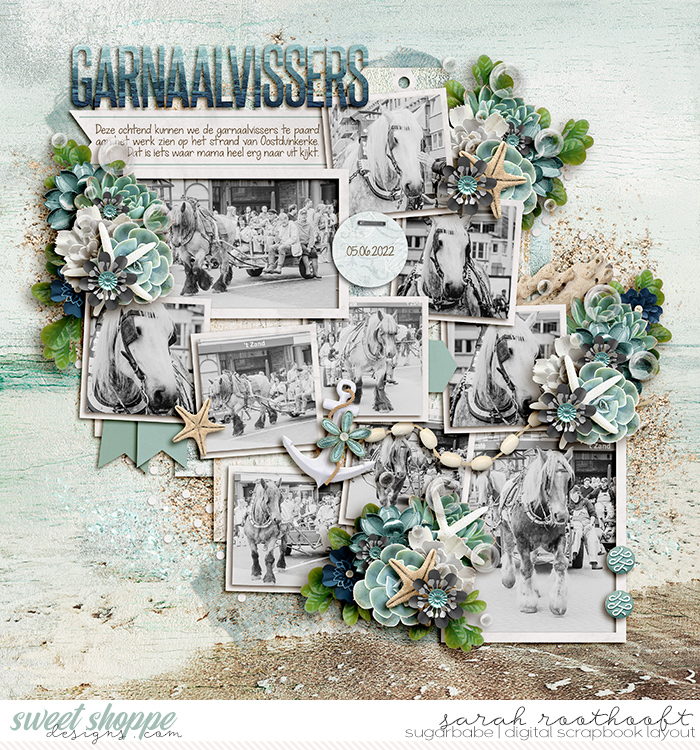 Garnaalvissers