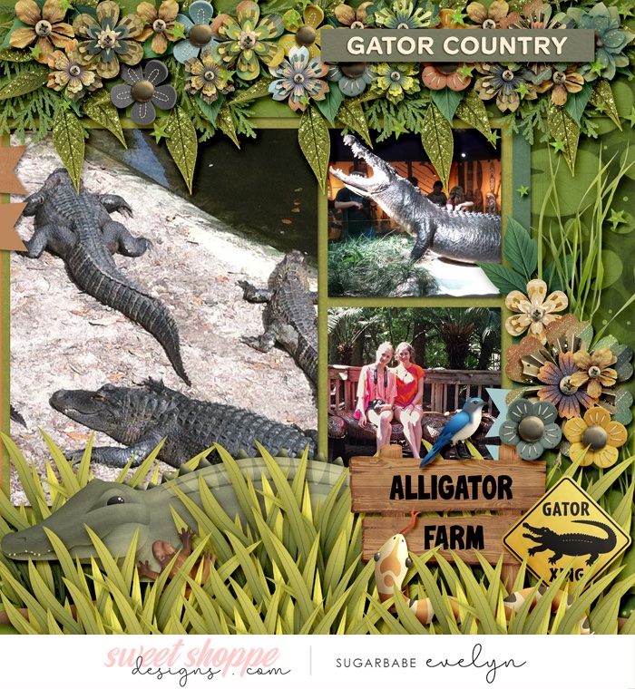Gator Country