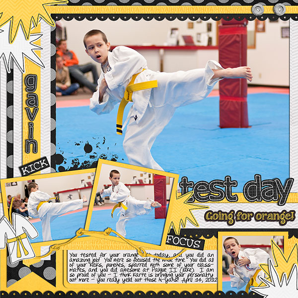 Gavin Karate Test