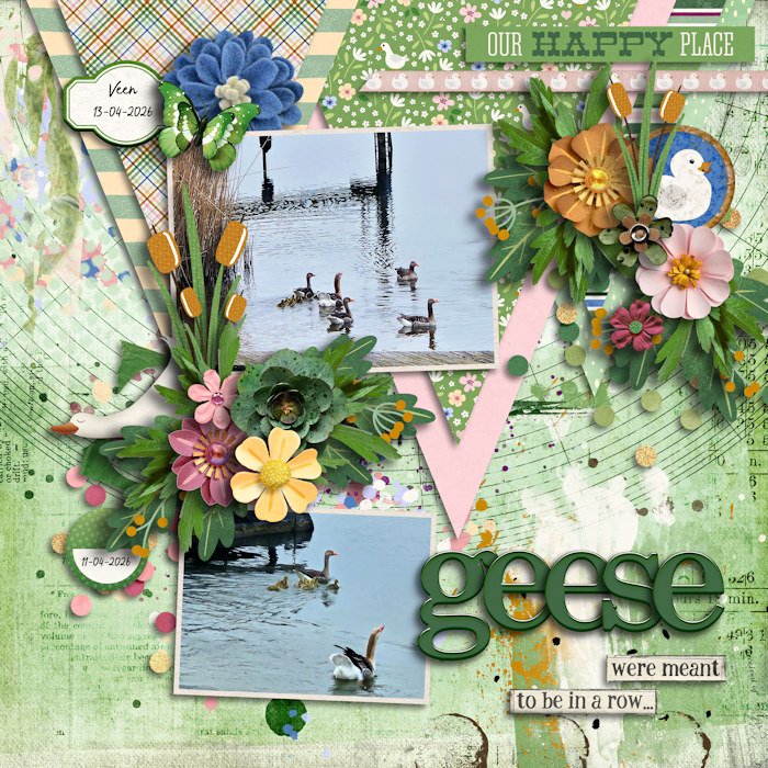 Geese
