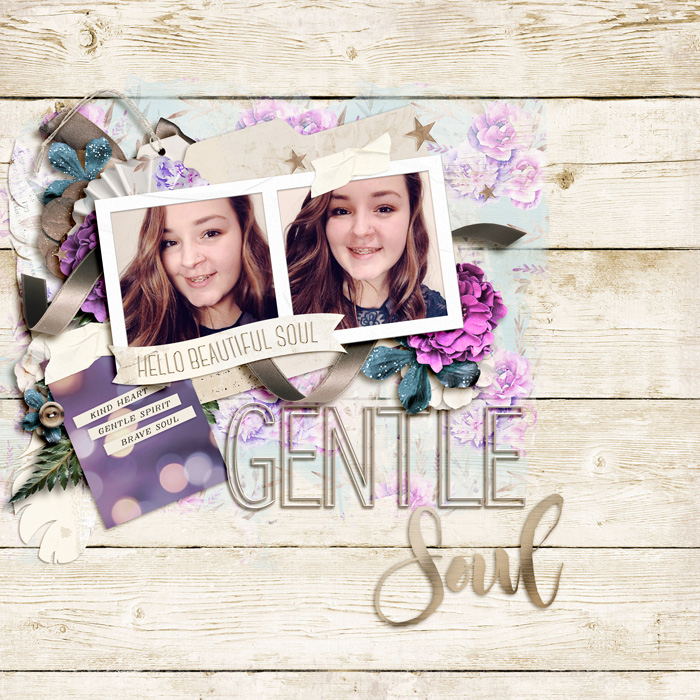 Gentle Soul