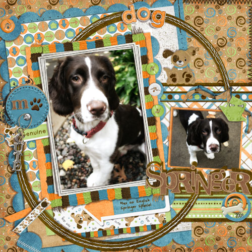 Genuine Springer
