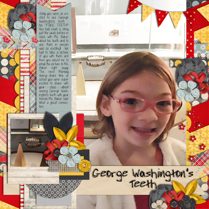 George Washingtons Teeth