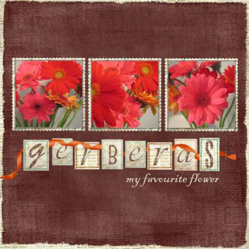 Gerberas