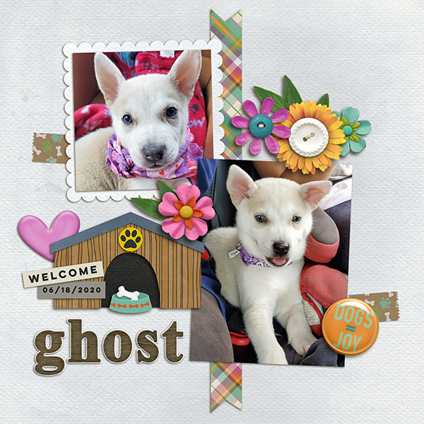 ghost