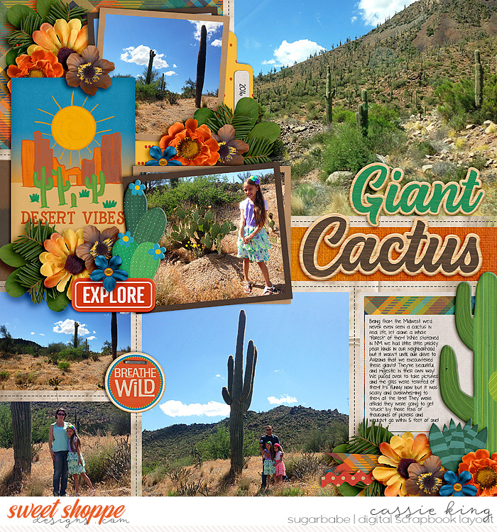 Giant Cactus