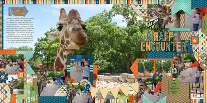 Giraffe Encounter @ Niabi Zoo
