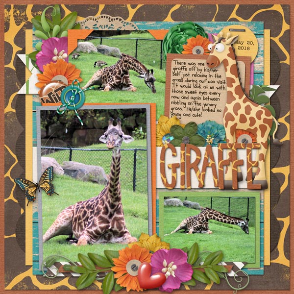 Giraffe
