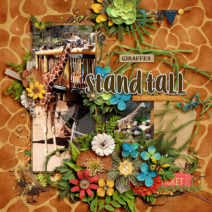 Giraffes