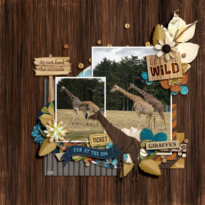 Giraffes
