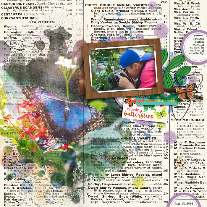Girl Meets Butterfly