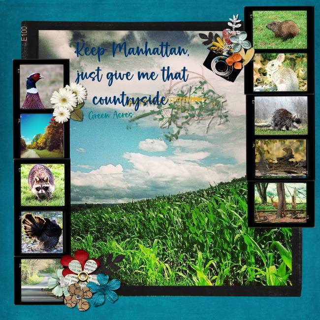Give Me That Countryside