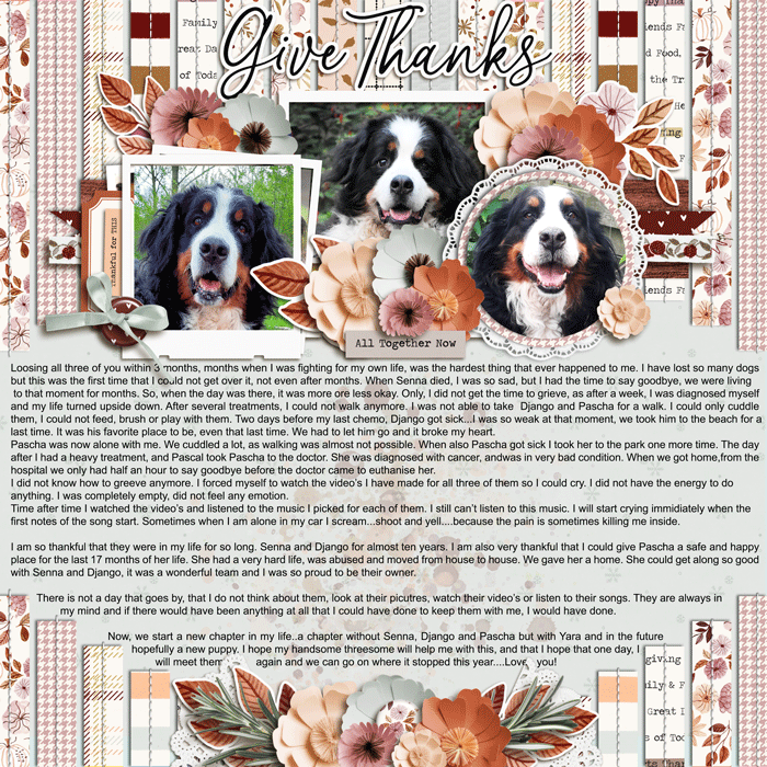 Give Thanks