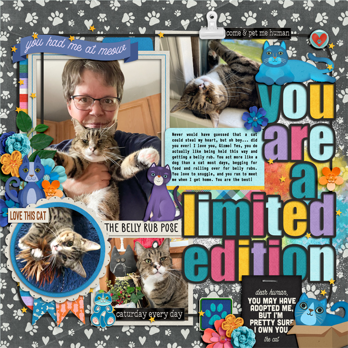 Gizmo - Limited Edition