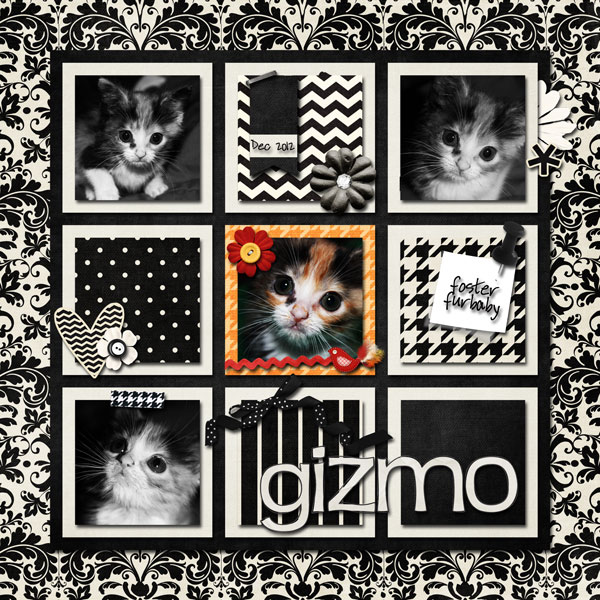 Gizmo