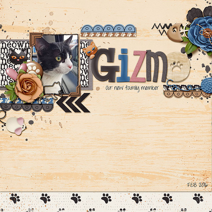 Gizmo