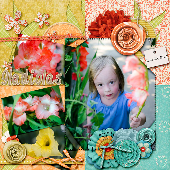 Gladiolas