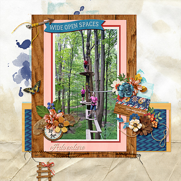 Go Ape, An Adventure Course