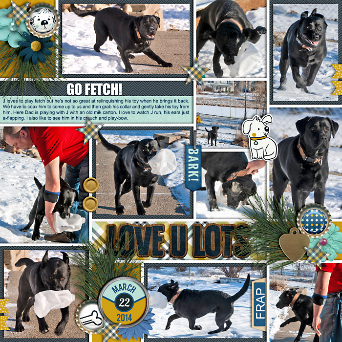 Go Fetch!