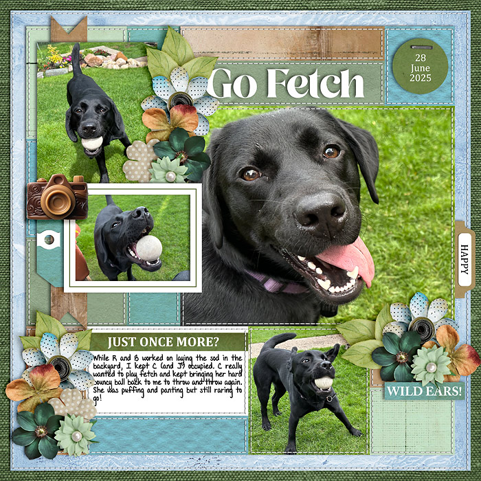 Go Fetch