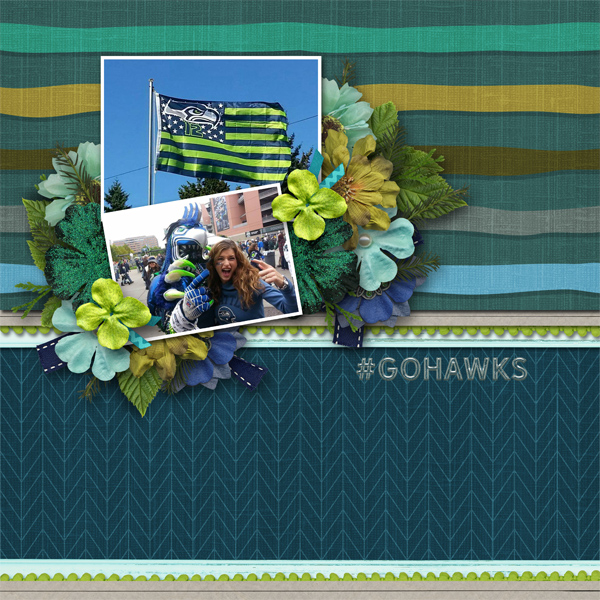 Go Hawks