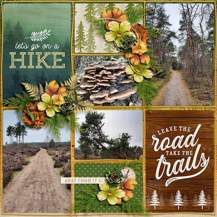 Go On A Hike