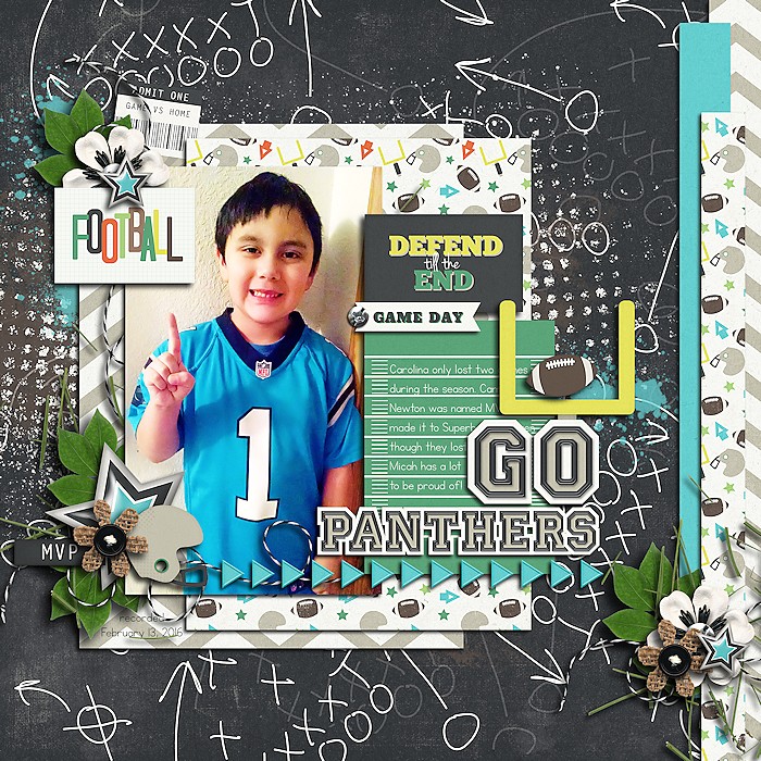 go panthers