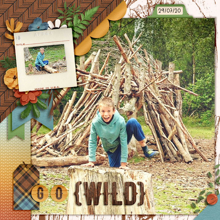 Go WILD!