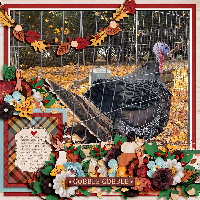 Gobble gobble