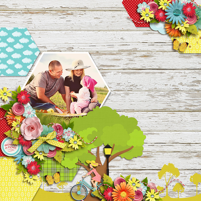 going on a picnic