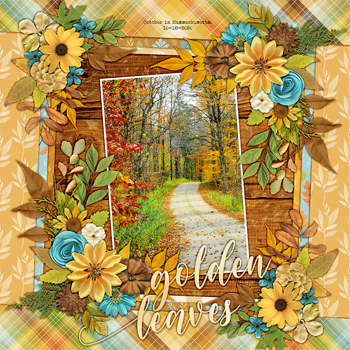 Golden Leaves