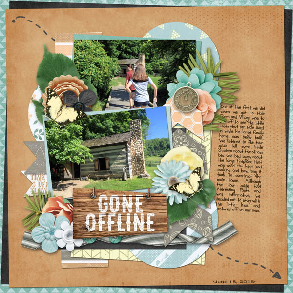 Gone Offline
