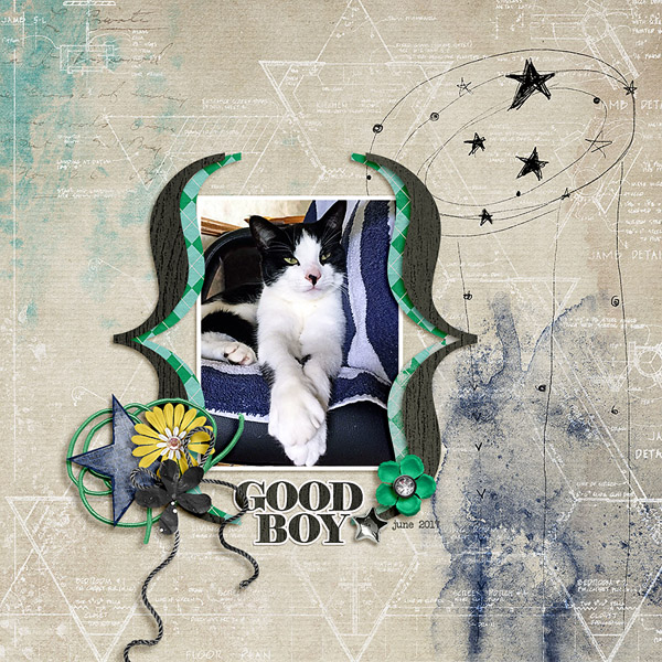 good boy