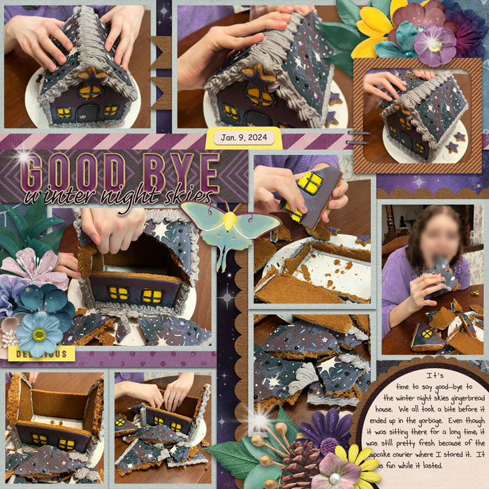 Good-bye Skies