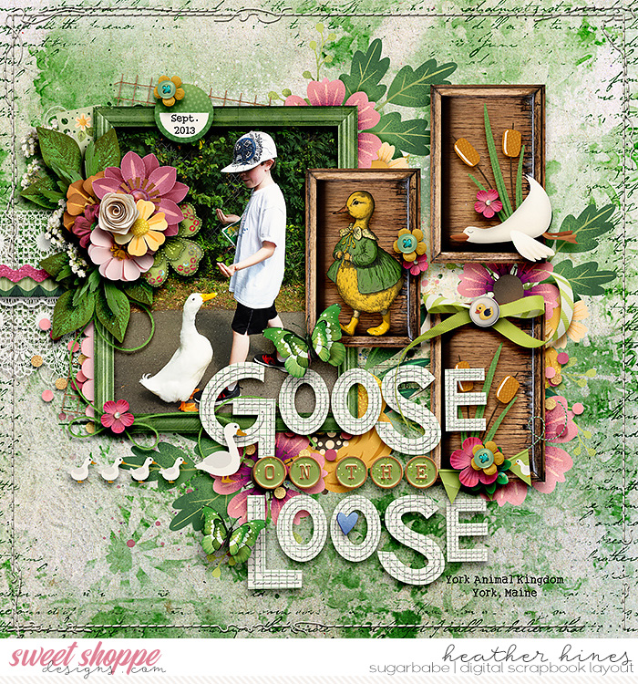 Goose On The Lose