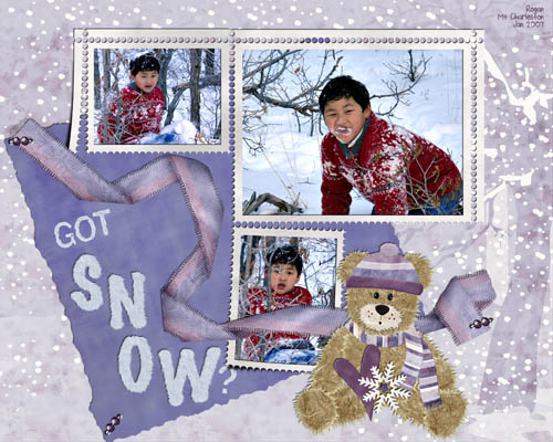 Got Snow?