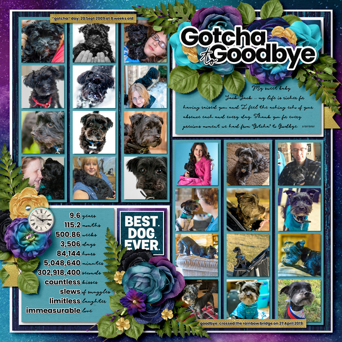 Gotcha to Goodbye